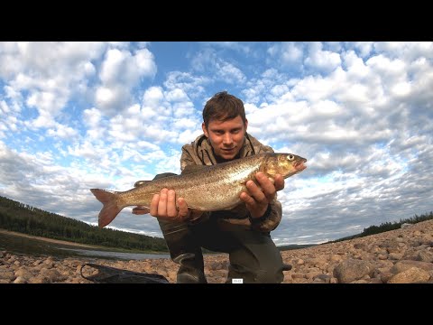 Видео: Ловля ленка на любимой речке!