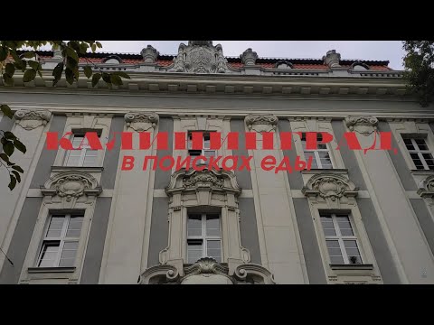 Видео: Калининград: в поисках еды