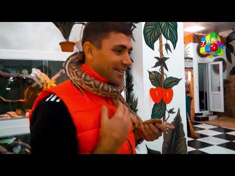 Видео: Мо ва ҷонварон - 03.12.2018