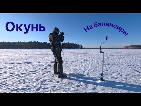 Видео: Окунь на балансиры. Пестовское водохранилище