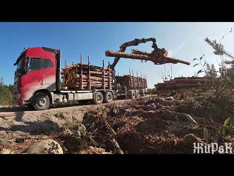 Видео: Лесовоз Вольво и прекрасная погода.