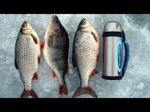 Видео: Весенняя безмотылка: ход морской плотвы