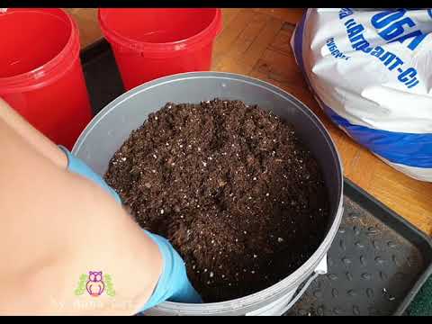 Видео: Моя схема составления грунта для комнатных растений