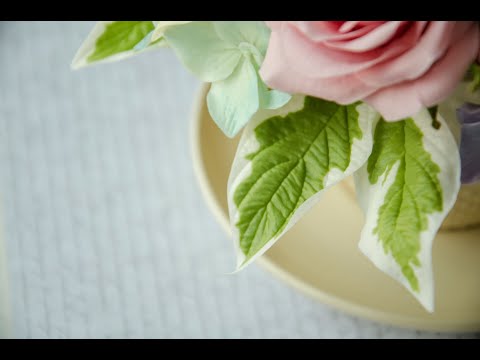 Видео: Дёрен белый из холодного фарфора. МК Анны Крахиной.