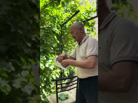 Видео: Жүзім жапырағы: Көп адам білмейтін құпиялар. Қазақша Сарма. Долма. Виноградные листья.
