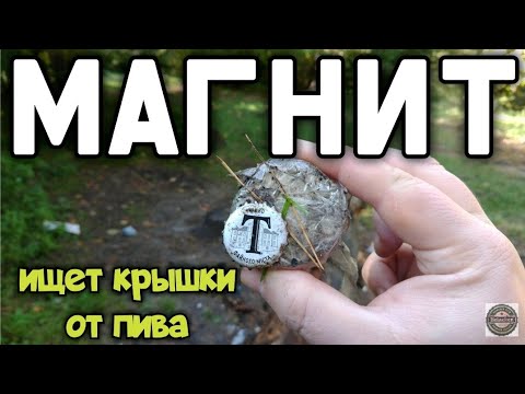 Видео: Тихая охота - поисковый магнит собирает крышки в осеннем лесу