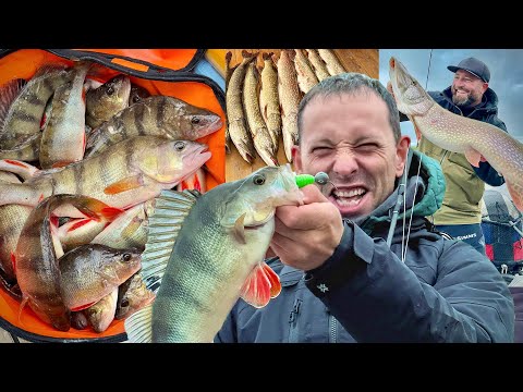 Видео: КАК ПОЙМАТЬ КУЧУ РЫБЫ?! Нарьян-Мар. Серия 2