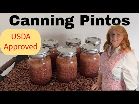 Видео: Руководство по консервированию фасоли пинто: одобрено Министерством сельского хозяйства США