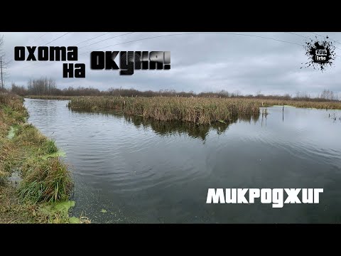 Видео: Кудиновский к., р. Шаловка, Купавинский п.. Ловим окуня на микро джиг, но это не точно))  Рыбалка