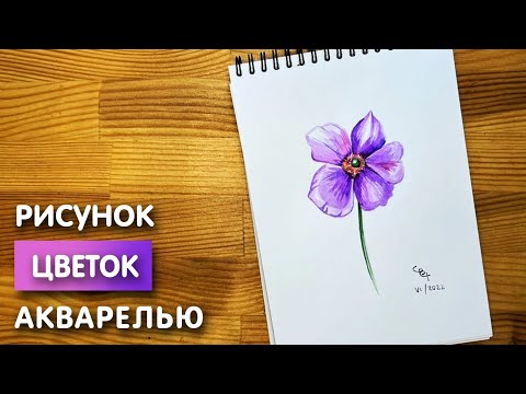 Видео: Как нарисовать цветок акварелью начинающим | Рисунок поэтапно и легко для детей