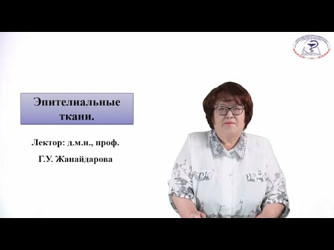 Видео: Эпителиальные ткани