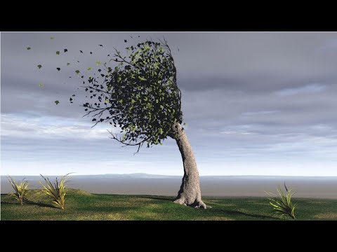 Видео: Тело и эмоции. Обратный ход