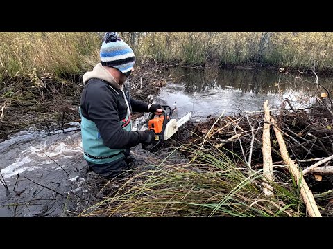 Видео: Моё безумное приключение на болоте! Эти строители поразят ваше воображение!