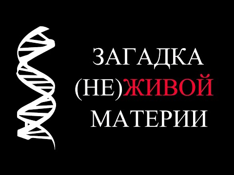 Видео: Ген, меняющий законы физики | Почему жизнь фундаментальна | ALI