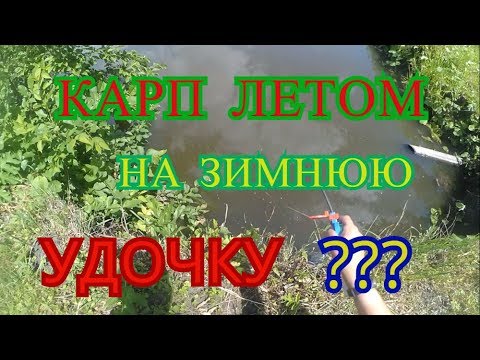 Видео: РЫБАЛКА ЛЕТОМ НА ЗИМНЮЮ УДОЧКУ НА СОБСТВЕННОМ ПРУДУ