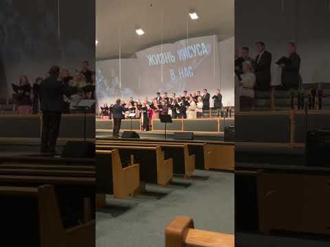 Видео: Зеленый лес (хор)