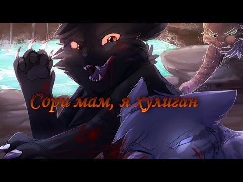 Видео: Клип Коты Воители Ветерок|CW Breezepelt| Песня "Сори мам, я хулиган" 🖤Black Cat𓃠