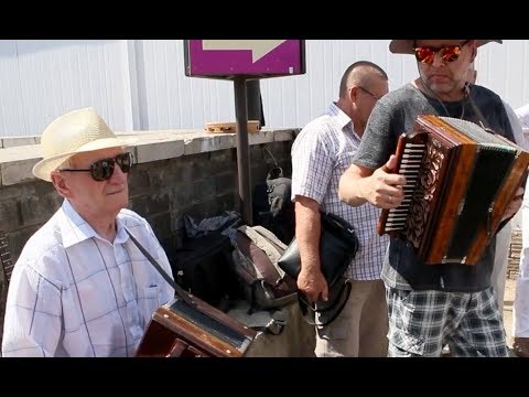 Видео: Елецкая Рояльная гармонь - традиционные народные наигрыши