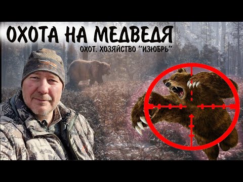 Видео: ОХОТА НА МЕДВЕДЯ / ТВЕРСКАЯ ОБЛАСТЬ