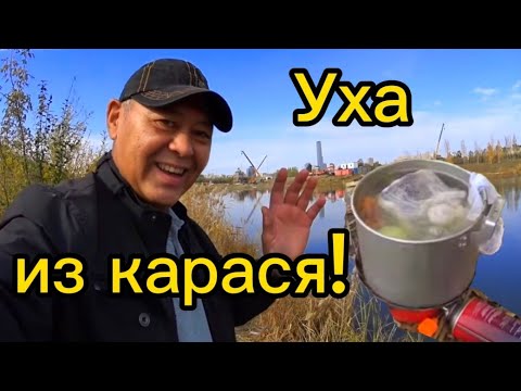 Видео: Рыбалка на спиннинг! Уха из карася!  Kazakhstan ASTANA