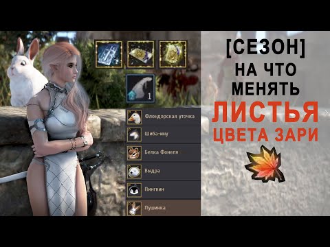 Видео: Black Desert На что менять Листья цвета зари. Подробный разбор.