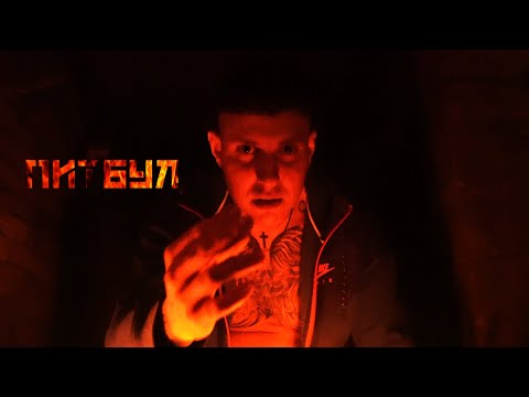 Видео: GOCATA - ПИТБУЛ (official video)