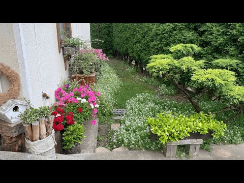 Видео: А ЩО НА ҐАНКУ? ДИЗАЙН ВХОДУ НА ПОДВІР‘Я. Ukrainian garden!