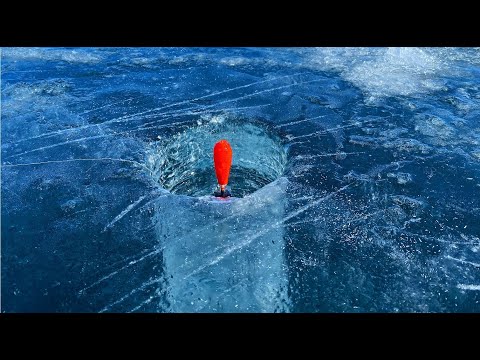 Видео: ЛОВЛЮ ОМУЛЯ НА 300 МЕТРАХ!!! РЫБАЛКА НА БАЙКАЛЕ ЗИМОЙ