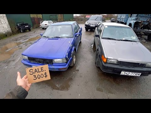 Видео: Покупка двох корчиків. Будні дні 