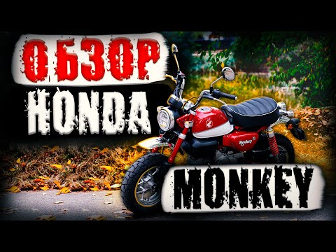 Видео: Honda Monkey Обзор минимото Минибайк для всех Мини супермото Мотоцикл для всех Мотоцикл для новичков