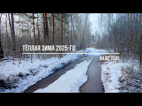 Видео: Тёплая зима 2025-го (04.02.2025)