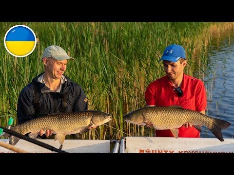 Видео: Амур на флет фідер? Легко! + РОЗІГРАШ