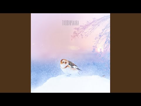 Видео: Туллукчаана