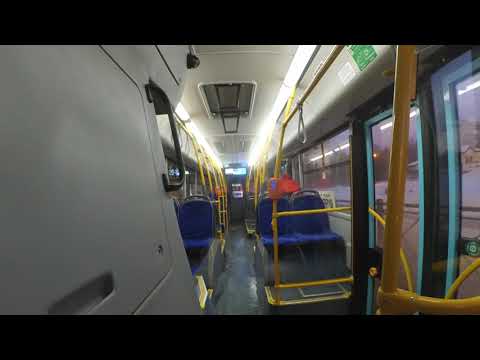 Видео: Новенький МАЗ-203.047 по 143 маршруту автобуса Петербурга 13-*: МАЗ-203.047 2160 по №143 (11.02.23)