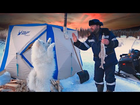 Видео: Поймал трофейную рыбу/Чайхана на льду/Зимняя рыбалка