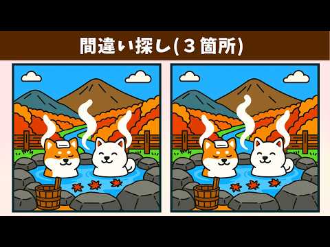 Видео: Найдите 3 отличия | Иллюстрация Версия #2033