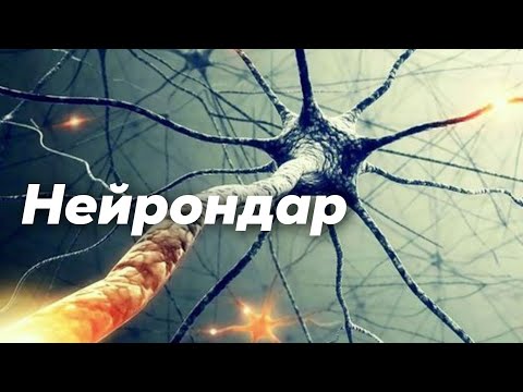 Видео: Нейрон | Әрекет потенциалы | Миелинді және миелинсіз талшықтар