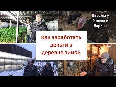 Видео: Как можно Заработать деньги в ДерЕВне....( зимой).В гостях у Радика и Ларисы