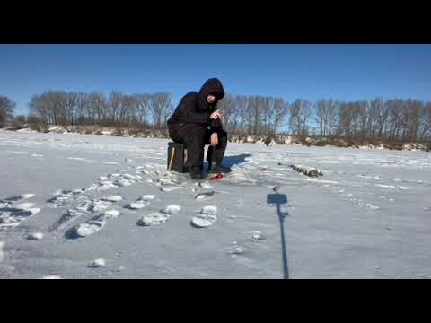 Видео: Река Дон.