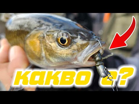 Видео: КАК ДА ЛОВИМ ЗИМНО ВРЕМЕ?КЕФАЛИ НА СИЛИКОНОВИ ПРИМАМКИ.