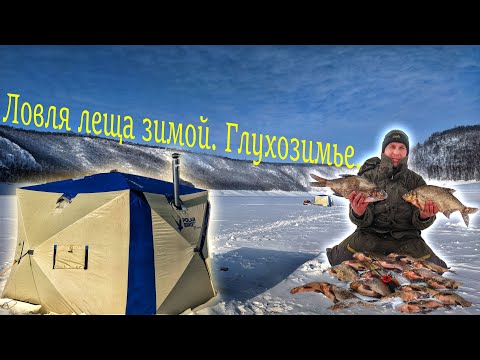 Видео: Ловля леща зимой. Глухозимье.