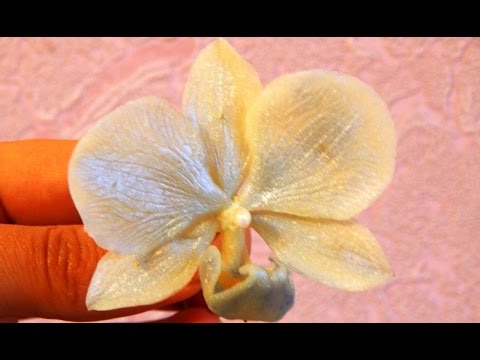 Видео: Орхидея  холодный фарфор мастер класс