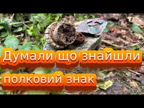 Видео: Думали, що знайшли полковий знак. Коп в Карпатах