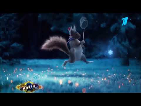 Видео: Новогодние белки на первом