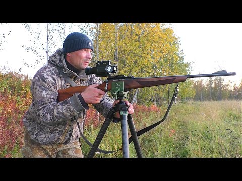 Видео: ОХОТА НА ЛИСУ В ПОЛНОЙ ТЕМНОТЕ / КАРАБИН ЛОСЬ 145+ТЕПЛОВИЗОР REDRAY REM 335R / ВЫШЛИ СРАЗУ ДВЕ лисы