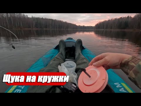 Видео: Ловля щуки осенью: поклёвки за поклёвкой! Как поймать щуку на живца