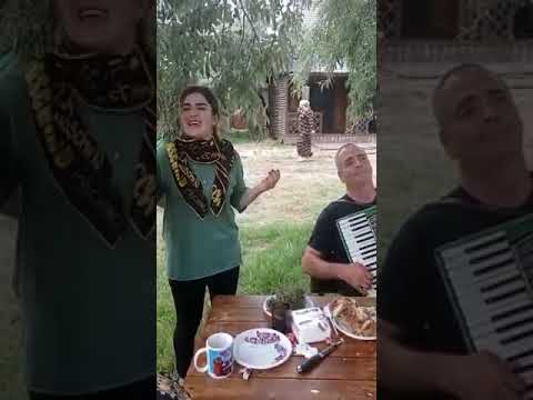 Видео: Джавгарат Гусайниева. Даргинская песня под гармошку в веселой компании.  Живой звук. На природе