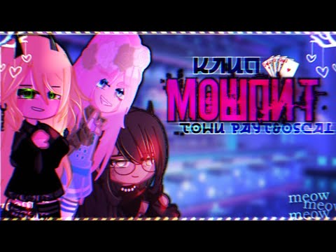 Видео: [FW]🎶Клип🎶//🕷️Мошпит🕷️//🥃Тони Раут×OSCAL🥃//💍Клип с гачерами💍//Gacha nox[FW]