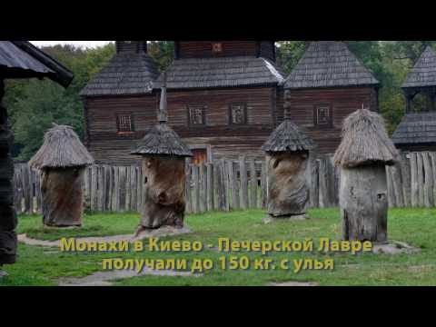 Видео: Основы пчеловодства. Урок 3: промышленное пчеловодство, часть I