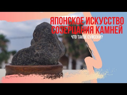 Видео: Суйсеки и его использование в бонсай. Японское искусство созерцания камней. Suiseki bonsai
